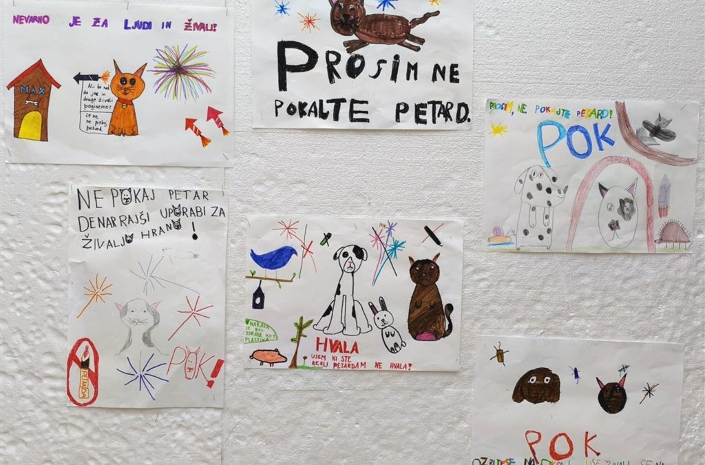 Interesna dejavnost Svet živali