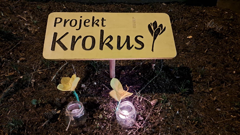Zacveteli krokusi – cvetovi spomina in upanja