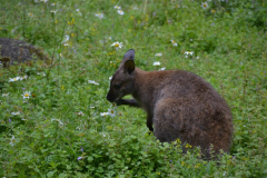 DSC_2566